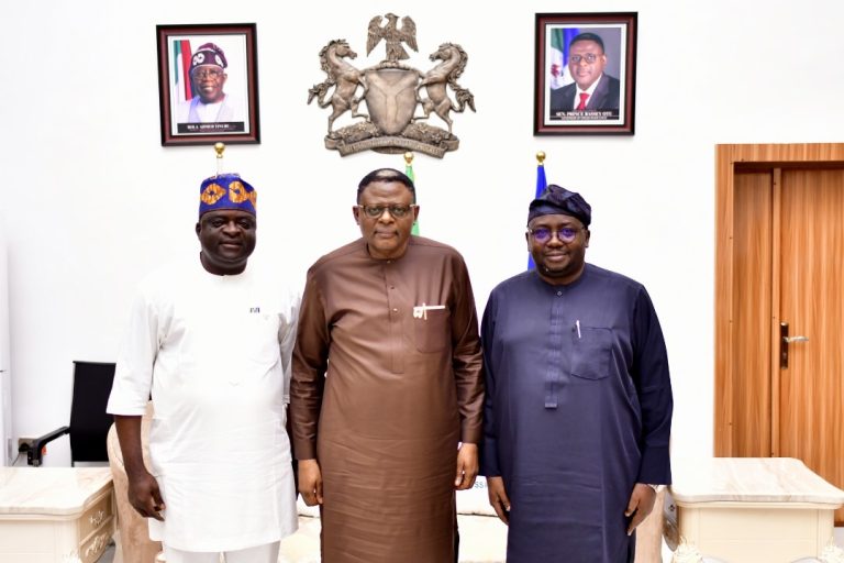 Energy Security Topmost On Our Priorities List, Governor Otu