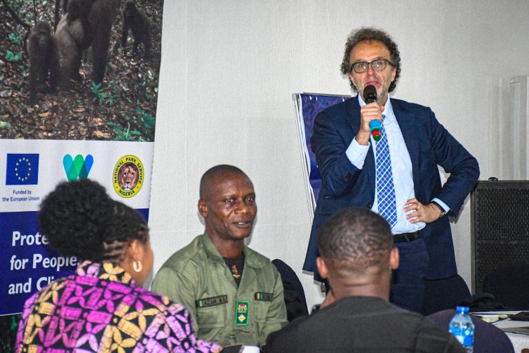EU Moves To Check Deforestation By Cocoa Farmers In Cross River