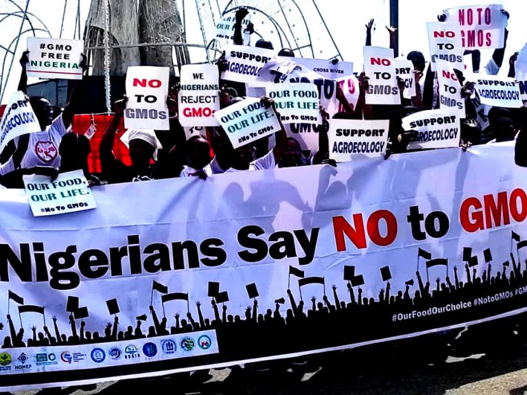 CSOs Coalition Demands Ban on GMOs Over Health Concerns