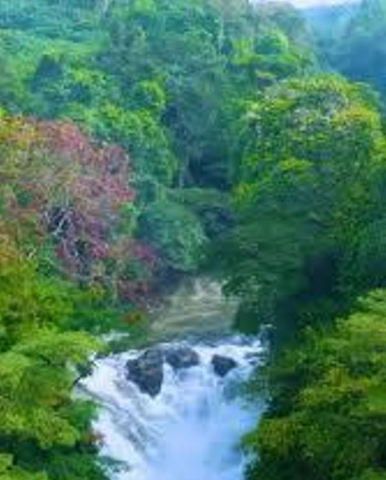 The Return of Kwa  Falls
