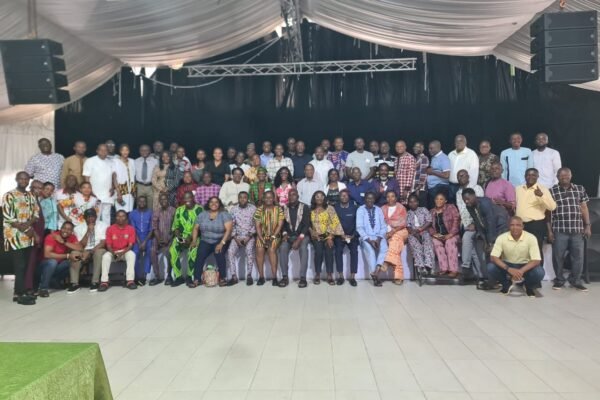 Adults, Reason For Children’s Predicament, UNICEF, Experts Call For Media Action