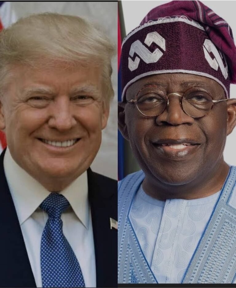 Trump: Tinubu May Adopt Strategy of Cooperation, Collaboration to End Insecurity -Jimoh Ibrahim
